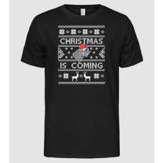 Pólómánia Christmas is Coming ugly sweater Trónok harca - Férfi Alap póló