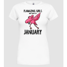 Pólómánia Flamazing girls are born in january black - Női Kerek nyakú Póló női póló