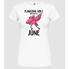 Pólómánia Flamazing girls are born in june black - Női Kerek nyakú Póló női póló