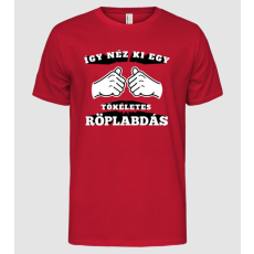 Pólómánia Így néz ki egy tökéletes ____RÖPLABDÁS - Férfi Alap póló
