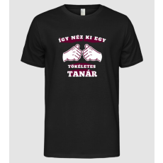 Pólómánia Így néz ki egy tökéletes TANÁR - Férfi Alap póló