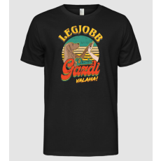 Pólómánia Legjobb gazdi pacsi VIZSLA - Férfi Alap póló