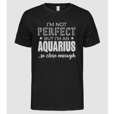 Pólómánia Not perfect, but AQUARIUS - Férfi Alap póló férfi póló