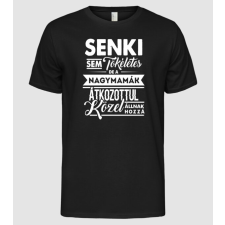 Pólómánia Senki sem tökéletes...nagymamák - Férfi Alap póló férfi póló
