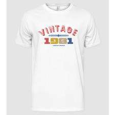 Pólómánia vintage 1981 - Férfi Alap póló férfi póló