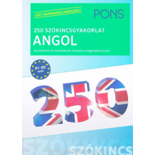 PONS ANGOL 250 SZÓKINCSGYAKORLAT tankönyv