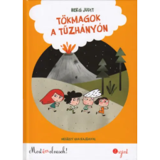 Pozsonyi Pagony Tökmagok a tűzhányón - Most én olvasok! 2. szint gyermek- és ifjúsági könyv