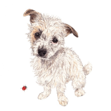 PPD Omelette papírszalvéta 33x33cm, 20db-os konyhai eszköz