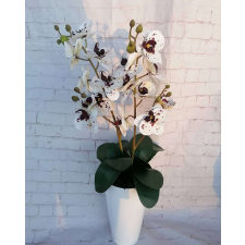  PRÉMIUM MINŐSÉGÚ ORCHIDEA  pöttyös orchideával ajándéktárgy