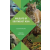 Princeton University Press Wildlife of Southeast Asia | Susan Myers