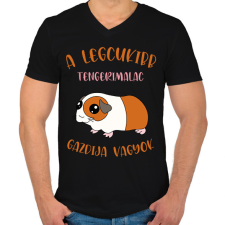 PRINTFASHION A legcukibb tengerimalac gazdija - Férfi V-nyakú póló - Fekete férfi póló