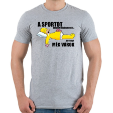 PRINTFASHION A sportot sohasem késő elkezdeni... - Férfi póló - Sport szürke férfi póló
