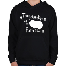 PRINTFASHION A Tengerimalacom az én Patrónusom - Gyerek kapucnis pulóver - Fekete