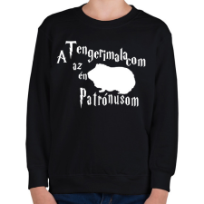 PRINTFASHION A Tengerimalacom az én Patrónusom - Gyerek pulóver - Fekete gyerek pulóver, kardigán