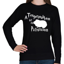 PRINTFASHION A Tengerimalacom az én Patrónusom - Női pulóver - Fekete női pulóver, kardigán