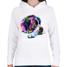 PRINTFASHION Bernáthegyi színesben - Női kapucnis pulóver - Fehér női pulóver, kardigán