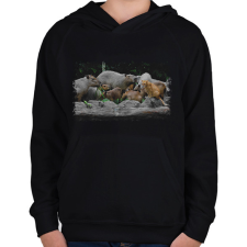 PRINTFASHION cica és capybarák - Gyerek kapucnis pulóver - Fekete gyerek pulóver, kardigán