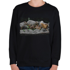 PRINTFASHION cica és capybarák - Gyerek pulóver - Fekete