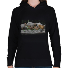 PRINTFASHION cica és capybarák - Női kapucnis pulóver - Fekete