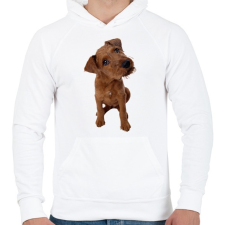 PRINTFASHION Cute Dog - Férfi kapucnis pulóver - Fehér férfi pulóver, kardigán