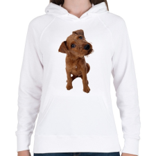PRINTFASHION Cute Dog - Női kapucnis pulóver - Fehér női pulóver, kardigán