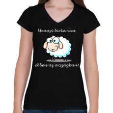 PRINTFASHION Mennyi birka - Női V-nyakú póló - Fekete