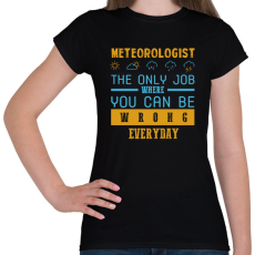 PRINTFASHION Meteorologist the only job - Női póló - Fekete