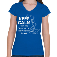 PRINTFASHION Nyugi - Női V-nyakú póló - Királykék