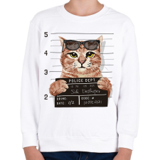 PRINTFASHION Rabosított macska - Gyerek pulóver - Fehér gyerek pulóver, kardigán