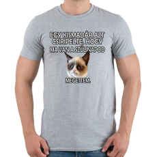 PRINTFASHION Szülinapi Grumpy Cat - Férfi póló - Sport szürke