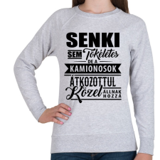 PRINTFASHION Tökéletes kamionos - Női pulóver - Sport szürke női pulóver, kardigán