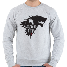 PRINTFASHION WINTER IS HERE - Férfi pulóver - Sport szürke férfi pulóver, kardigán