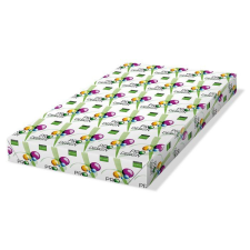 PRO-DESIGN Másolópapír digitális SRA3 450x320 mm 160g (PRDES160X418) fénymásolópapír