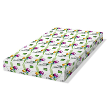 Pro-Desing SRA3 450x320mm nyomtatópapír (125db) (PRDES250X415) fénymásolópapír