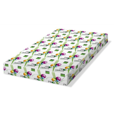 Pro-Desing SRA3 450x320mm nyomtatópapír (250db) (PRDES120X418) fénymásolópapír