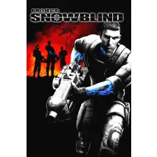  Project: Snowblind (digitális licenc) videójáték