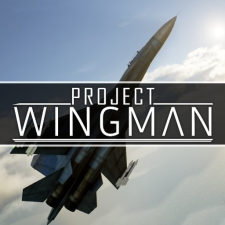  Project Wingman (Digitális kulcs - PC) videójáték