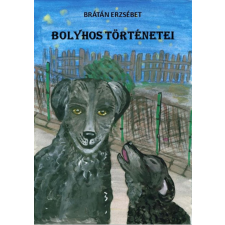 Publio Bolyhos történetei egyéb e-könyv