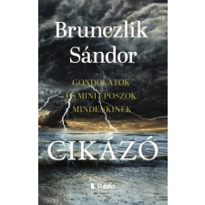 Publio Kiadó Cikázó - gondolatok és mini eposzok mindenkinek regény