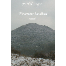 Publio November havában egyéb e-könyv