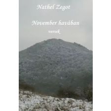 Publio November havában egyéb e-könyv