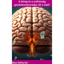 Publishdrive A bőség és a szűkösség gondolkodásmódja egyéb e-könyv