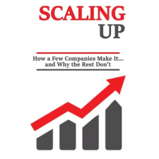 Publishdrive Scaling up egyéb e-könyv