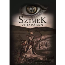 Publishdrive Szemek viharában történelem