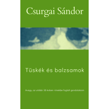 Publishdrive Tüskék és balzsamok egyéb e-könyv