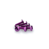 PUIG Puig Domború csavar készlet M6x25 mm, lila Puig Vázak, idomok, kiegészítők Csavarok és alkatrészek