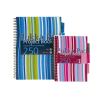Pukka pad Spirálfüzet, A4, vonalas, 125 lap, PUKKA PAD "Stripe project book"