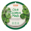  PureDerm Cica Essence Mask PD816 (PD816)
