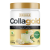 PureGold CollaGold Marha és Hal kollagén italpor hialuronsavval - Eldelflower - 300g - PureGold