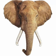  Puzzle 700 db Elefánt-fej 89x101 cm puzzle, kirakós